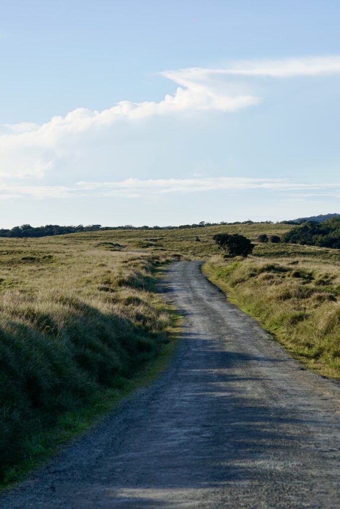 Scenic Drive through the Horton Plains